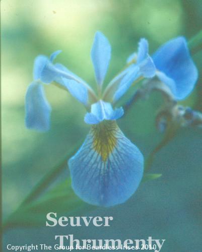 Jack Ellis - Seuver Thrumenty